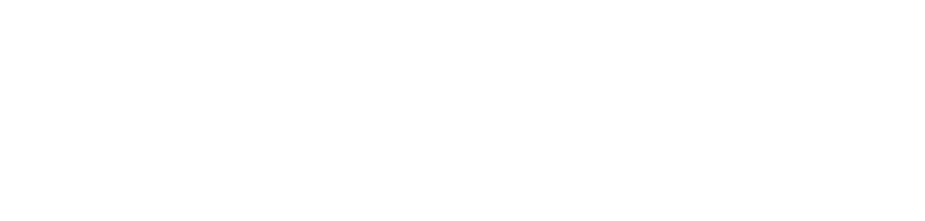 Ponta Negra Logística Integrada